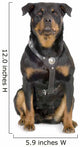rottweiler Wall Decal