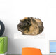 guinea pig rosettes Wall Decal