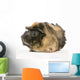 guinea pig rosettes Wall Decal