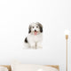 coton de tulear Wall Decal