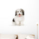 coton de tulear Wall Decal
