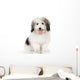 coton de tulear Wall Decal
