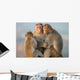 Monkey's Family Wall Mural