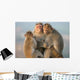Monkey's Family Wall Mural