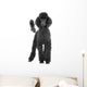 caniche royal noir Wall Decal