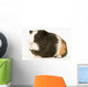 Multicolored Guinea Pig Wall Decal