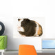 Multicolored Guinea Pig Wall Decal