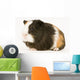 Multicolored Guinea Pig Wall Decal