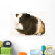 Multicolored Guinea Pig Wall Decal