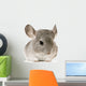 jeune chinchilla Wall Decal