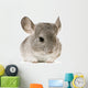 jeune chinchilla Wall Decal