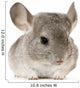 jeune chinchilla Wall Decal