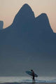Rio 65 Wall Decal