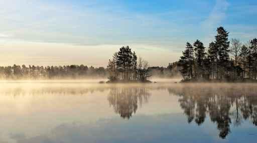 Schweden Wall Decal