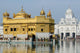 Golden temple - India Wall Mural