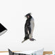 Macaroni Penguin