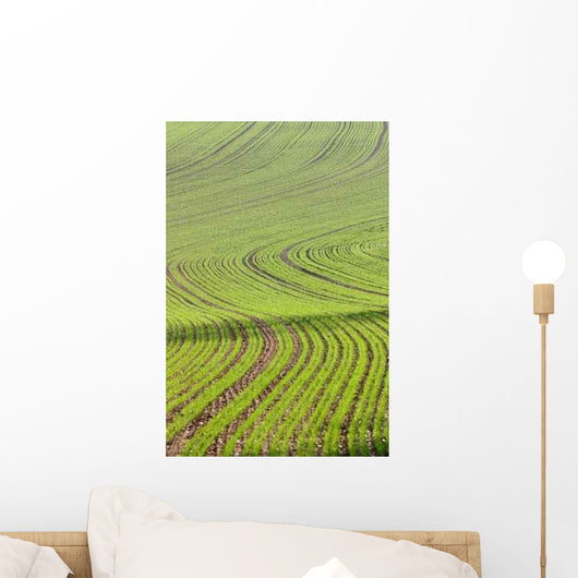 Lignes Wall Decal Design 3