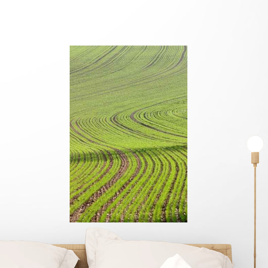 Lignes Wall Decal Design 3
