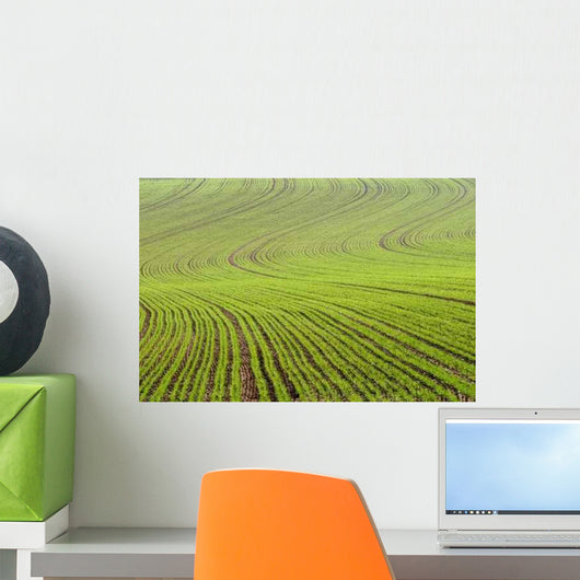 Lignes Wall Decal Design 2