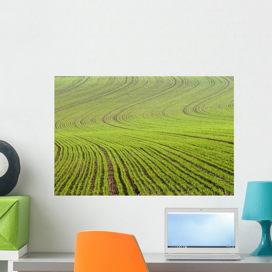 Lignes Wall Decal Design 2