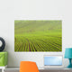 Lignes Wall Decal Design 2