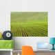 Lignes Wall Decal Design 2