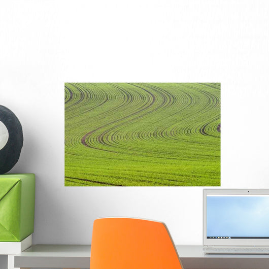 Lignes Wall Decal Design 1