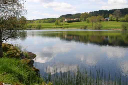 Etang Wall Decal