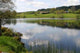 Etang Wall Decal