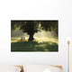 Lone Tree In Mist And Sunlight Wall Mural