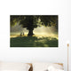 Lone Tree In Mist And Sunlight Wall Mural
