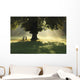 Lone Tree In Mist And Sunlight Wall Mural