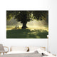 Lone Tree In Mist And Sunlight Wall Mural