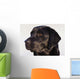 Close-Up Of Black Labrador Retriever Wall Mural