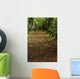 Path Through Woods Wall Mural