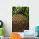Path Through Woods Wall Mural