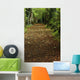 Path Through Woods Wall Mural