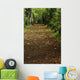 Path Through Woods Wall Mural