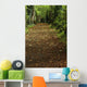 Path Through Woods Wall Mural