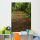 Path Through Woods Wall Mural