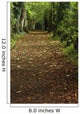 Path Through Woods Wall Mural