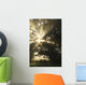 Sunlight Through Tree Wall Mural