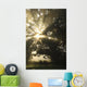 Sunlight Through Tree Wall Mural