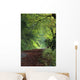 Path Through The Woods Wall Mural