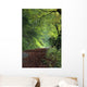 Path Through The Woods Wall Mural