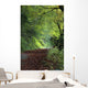 Path Through The Woods Wall Mural
