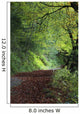 Path Through The Woods Wall Mural