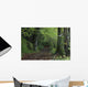 Path Through The Woods Wall Mural