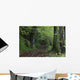 Path Through The Woods Wall Mural