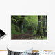 Path Through The Woods Wall Mural